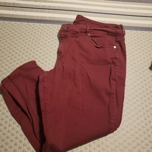 Maurices pant